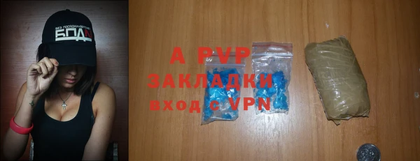 прущие грибы Покачи