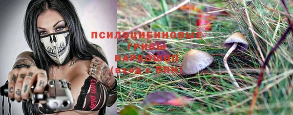 не бодяженный Зеленодольск