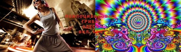 прущие грибы Покачи