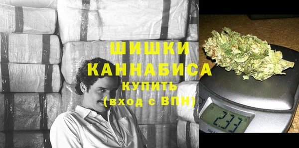 прущие грибы Фёдоровский