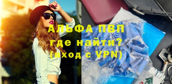 прущие грибы Покачи