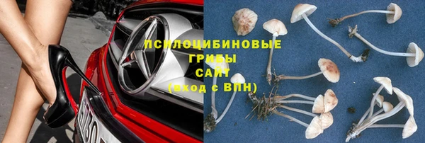 бошки Калининец